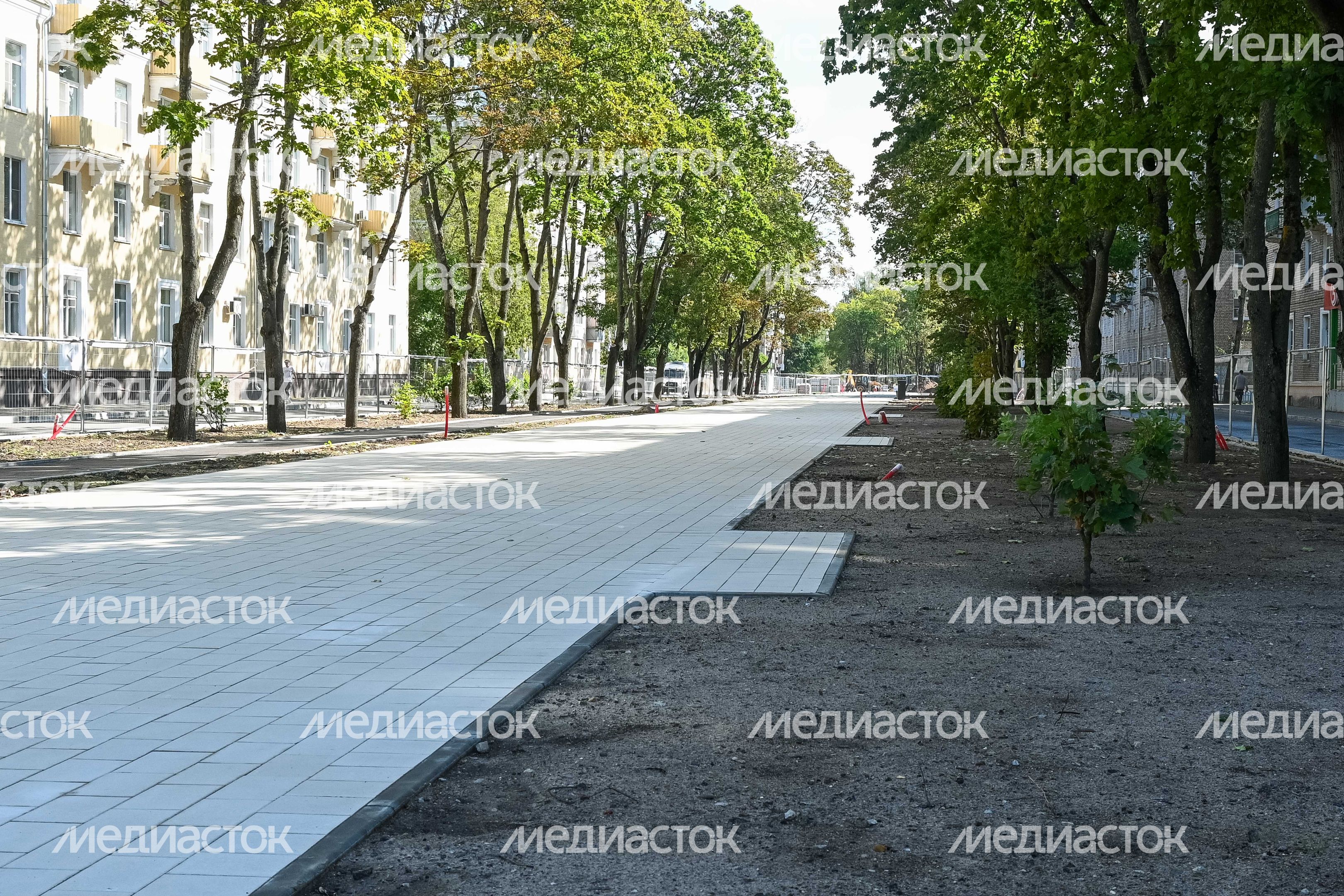 До конца года в Дубне откроются два обновленных общественных пространства и новый веломаршрут До конца года в Дубне откроются два обновленных общественных пространства и новый веломаршрут
