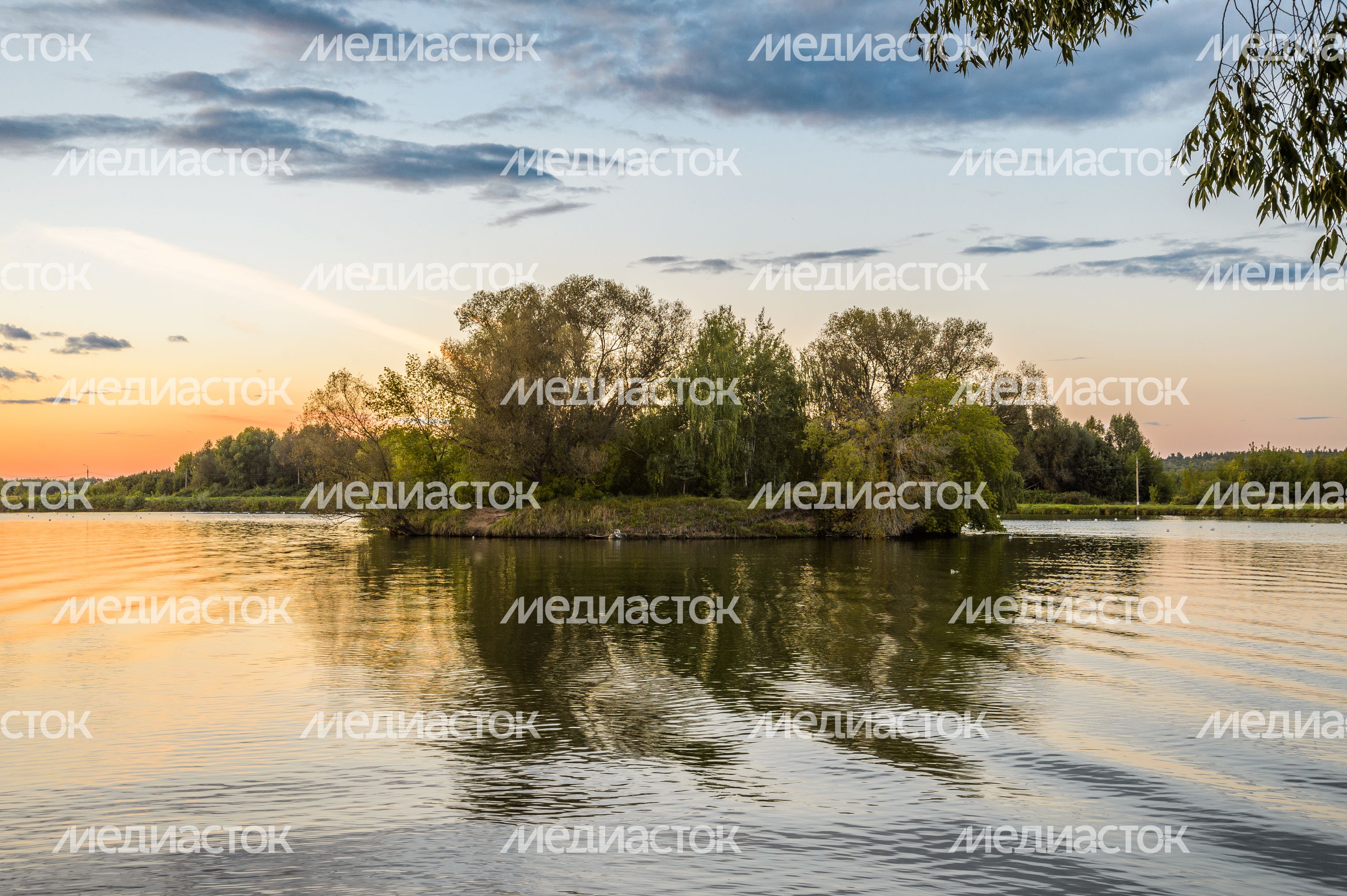 Бронницы. Парк "Бронницкий луг" Бронницы. Парк "Бронницкий луг"