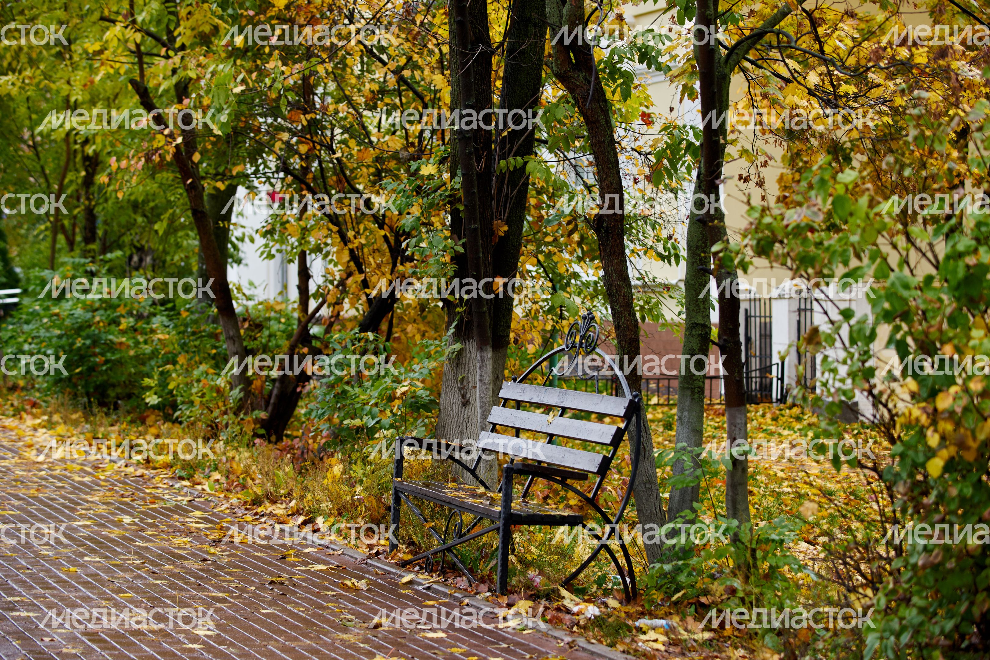 Осень в Подмосковье