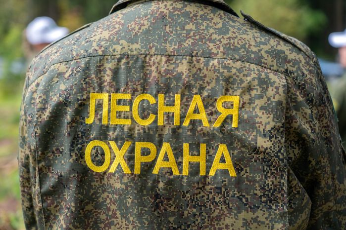 Саженцы сосны и ели высадили на экологической акции «Сохраним лес» в Рузском округе