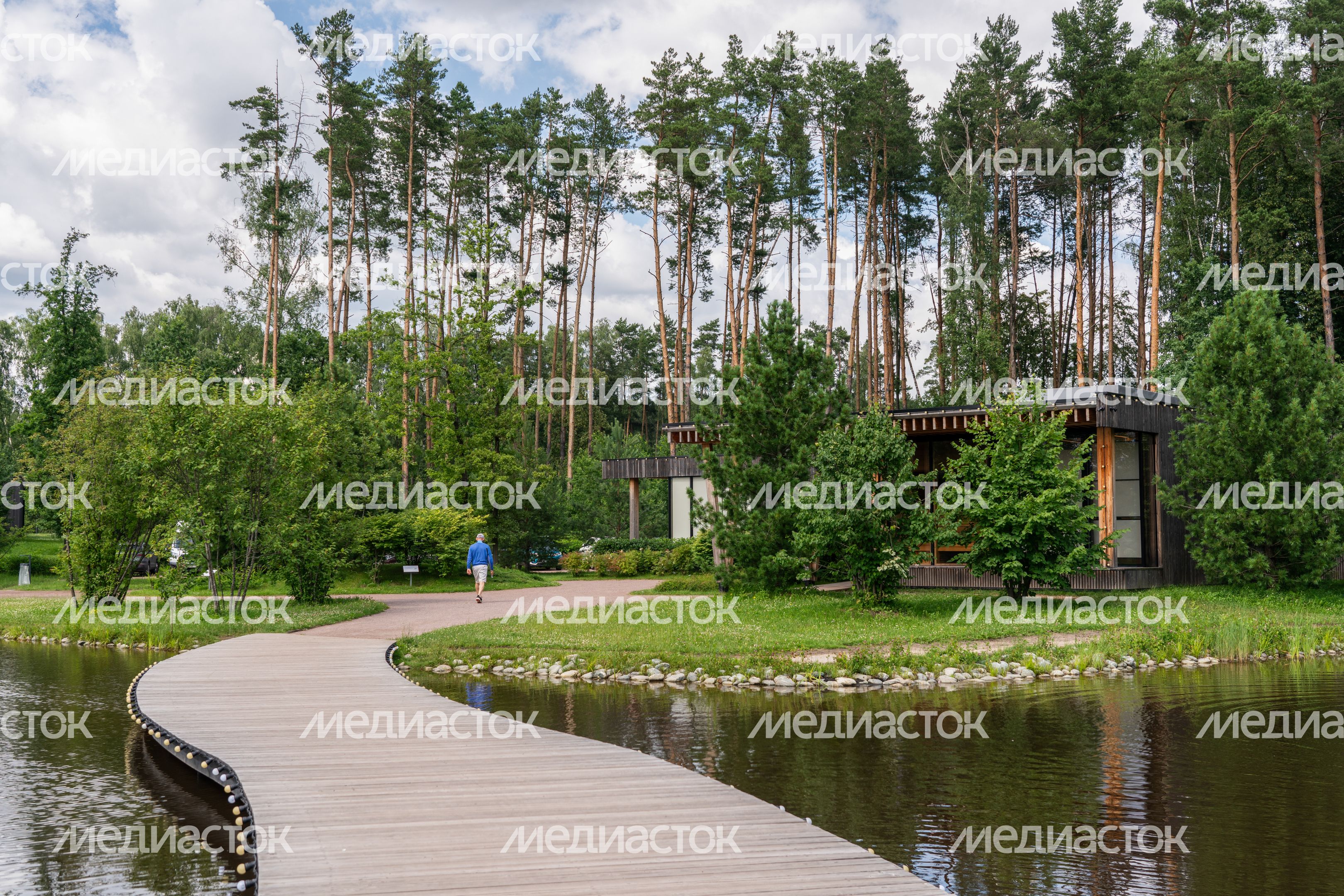 Мещерский парк летом