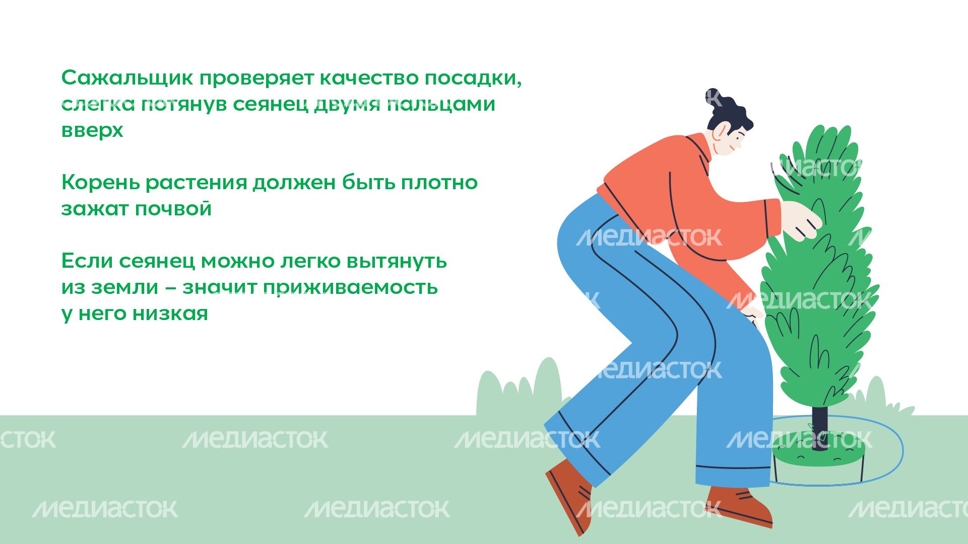 Горизонталь_ меч Колесова_06-100.jpg