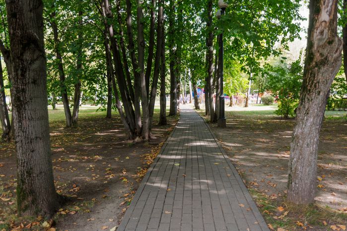Дорожка в Центральном парке культуры и отдыха в Лыткарино летом