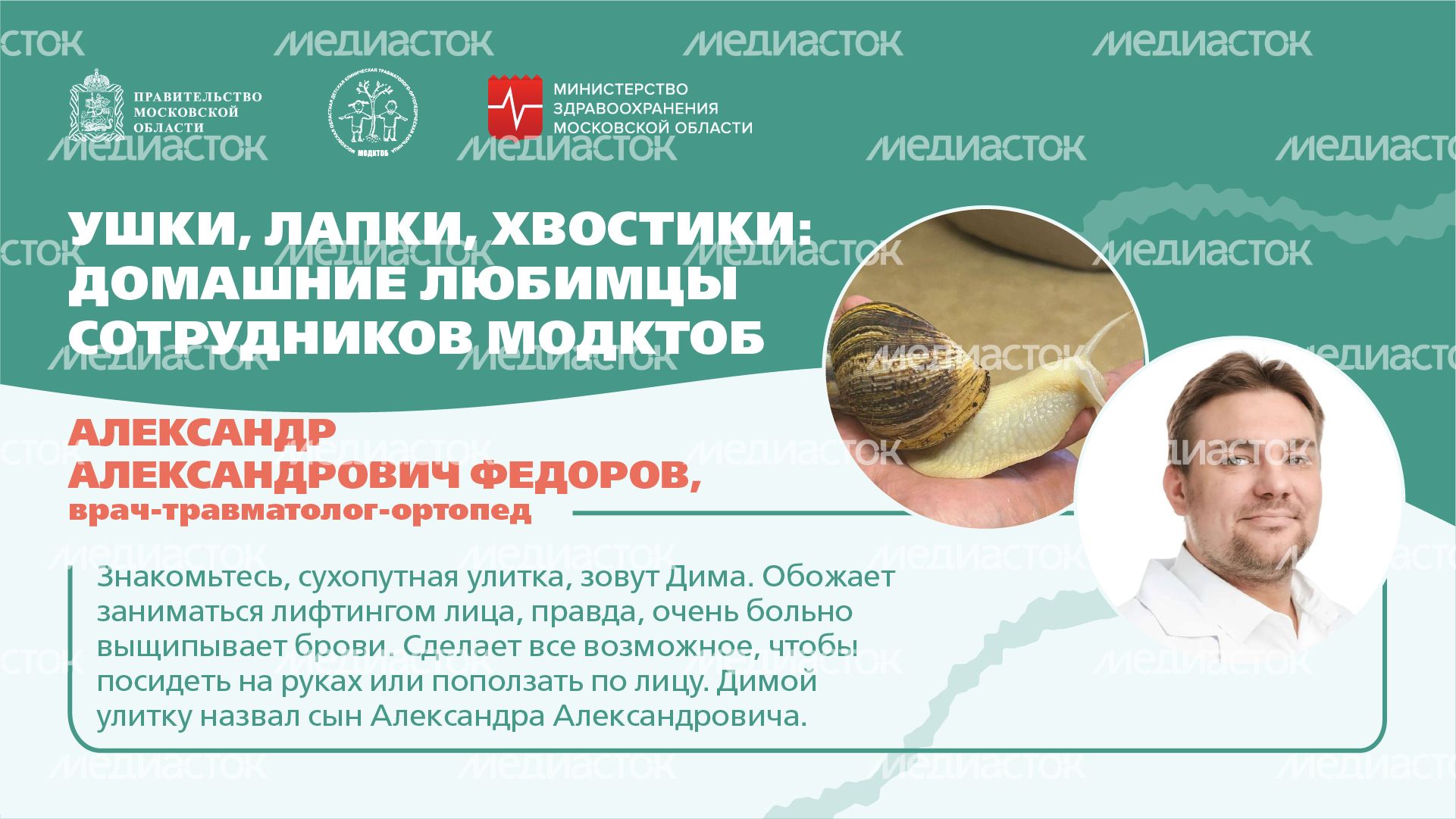 Ушки, лапки, хвостики горизонталь 04 Ушки, лапки, хвостики горизонталь 04