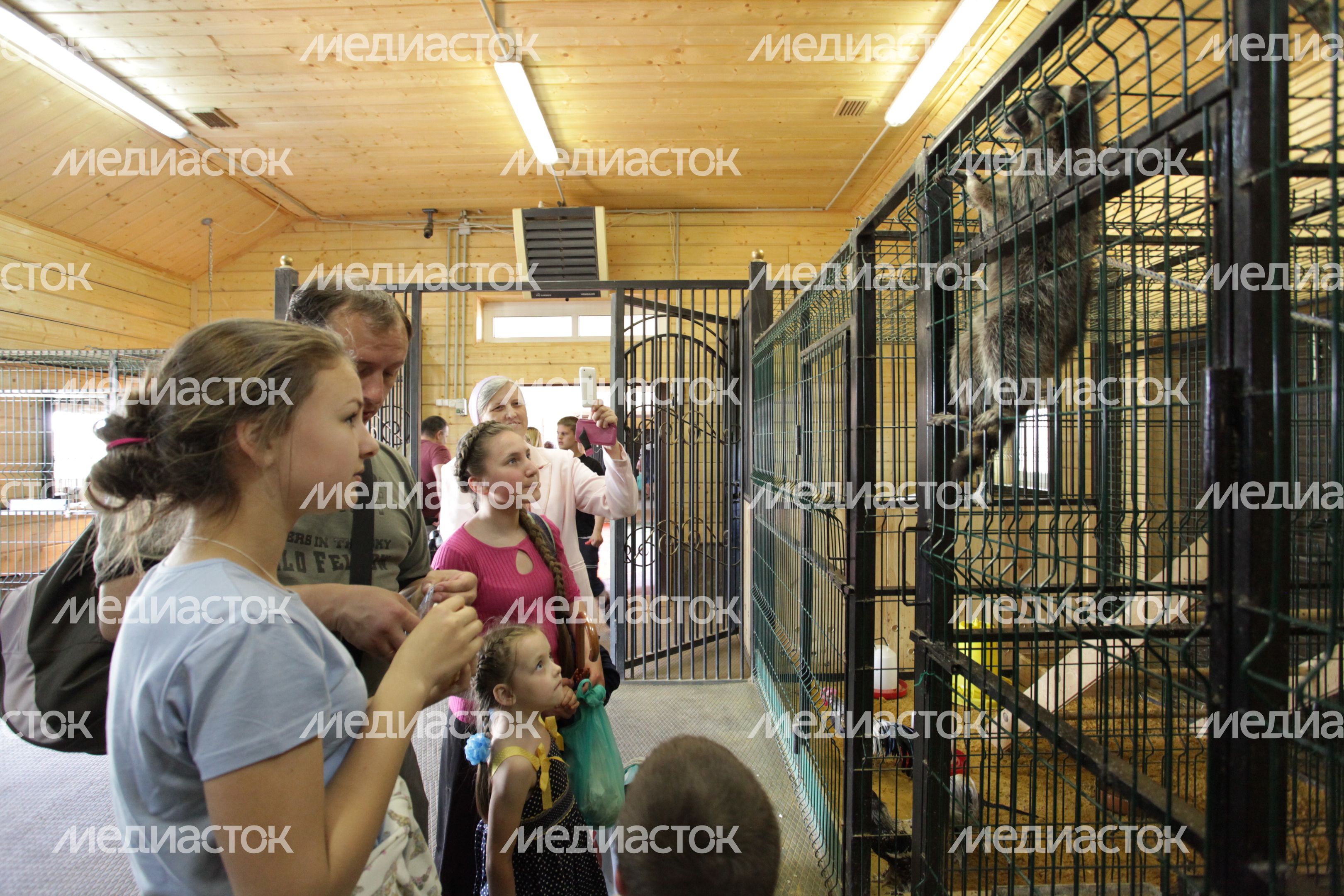 Международный день семьи