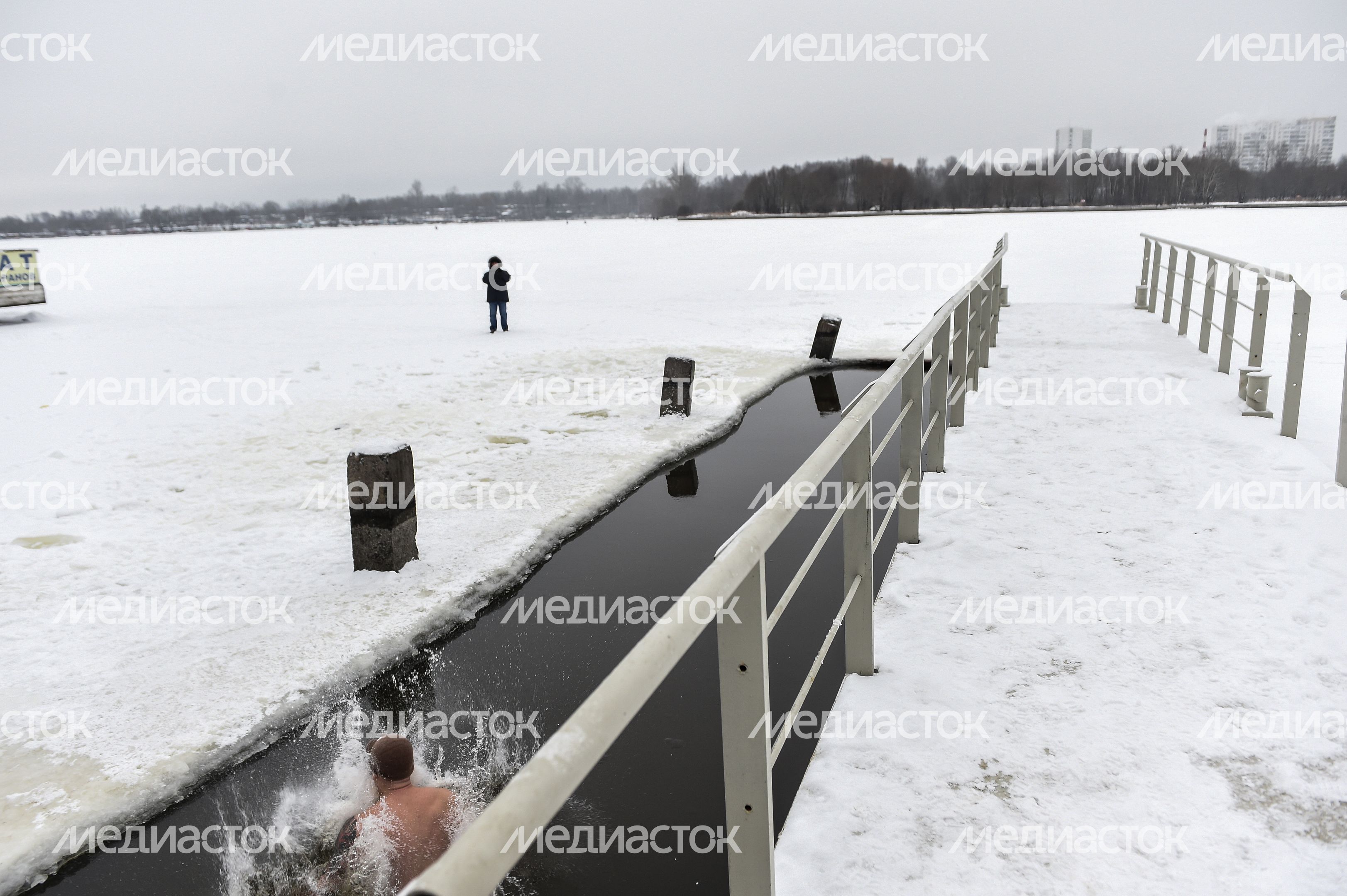 Купание моржей в Долгопрудном