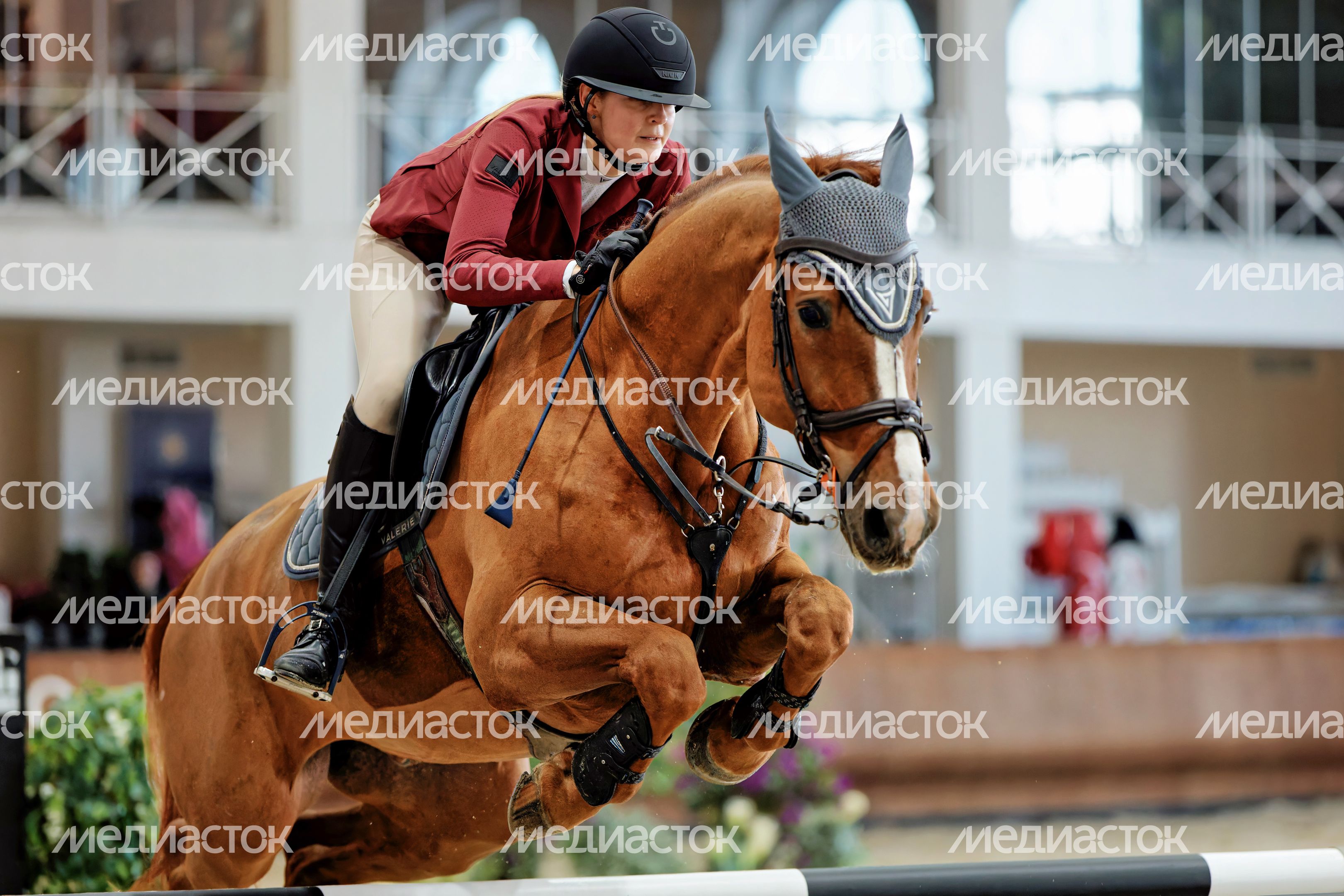 Командное первенство Кубка России по конкуру на манеже КСК «Виват, Россия!» Ленинского округа