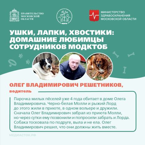 Ушки, лапки, хвостики квадрат 07