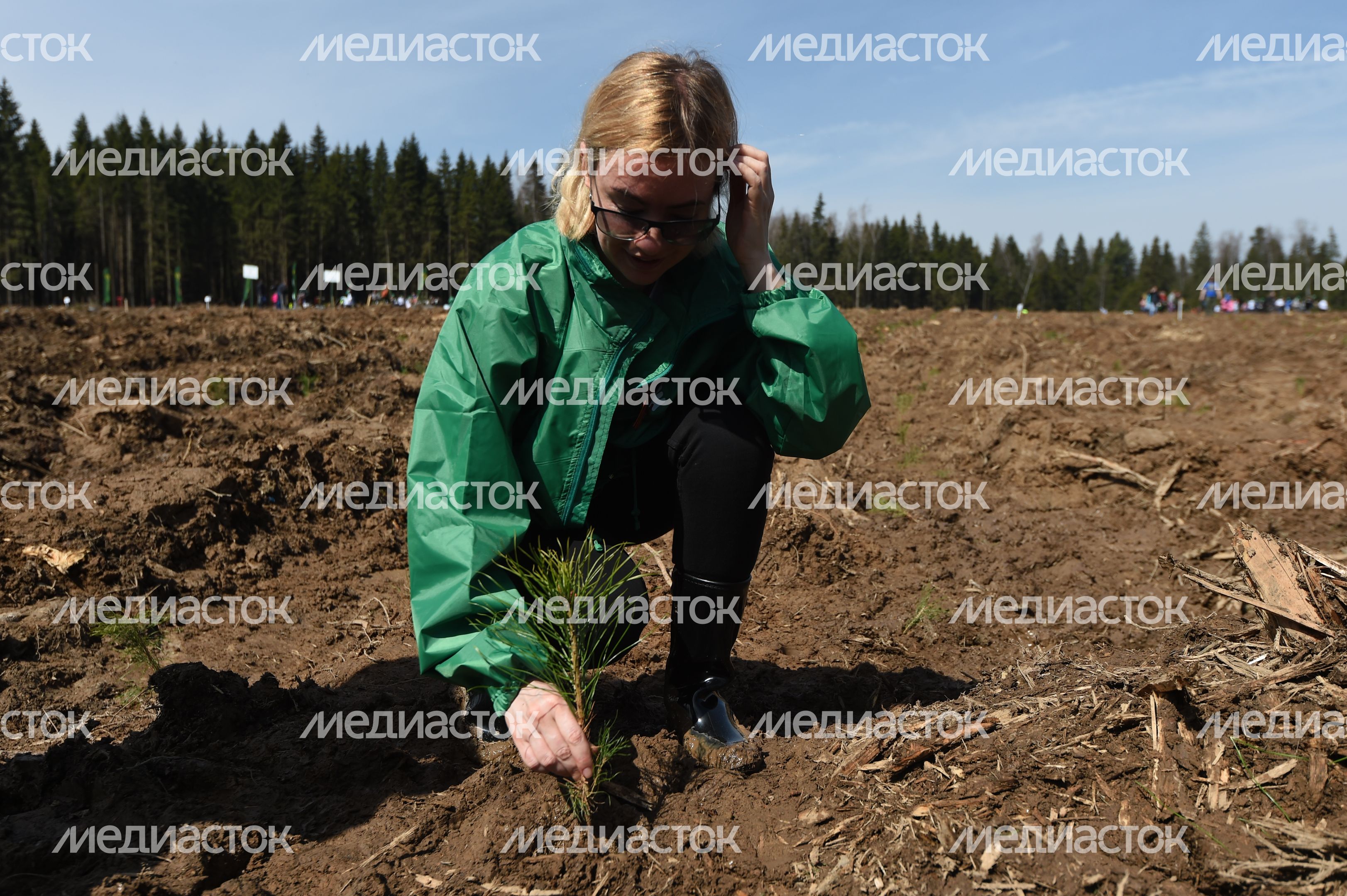 Общеобластная акция «Лес Победы» на центральной площадке в г. о. Истра 