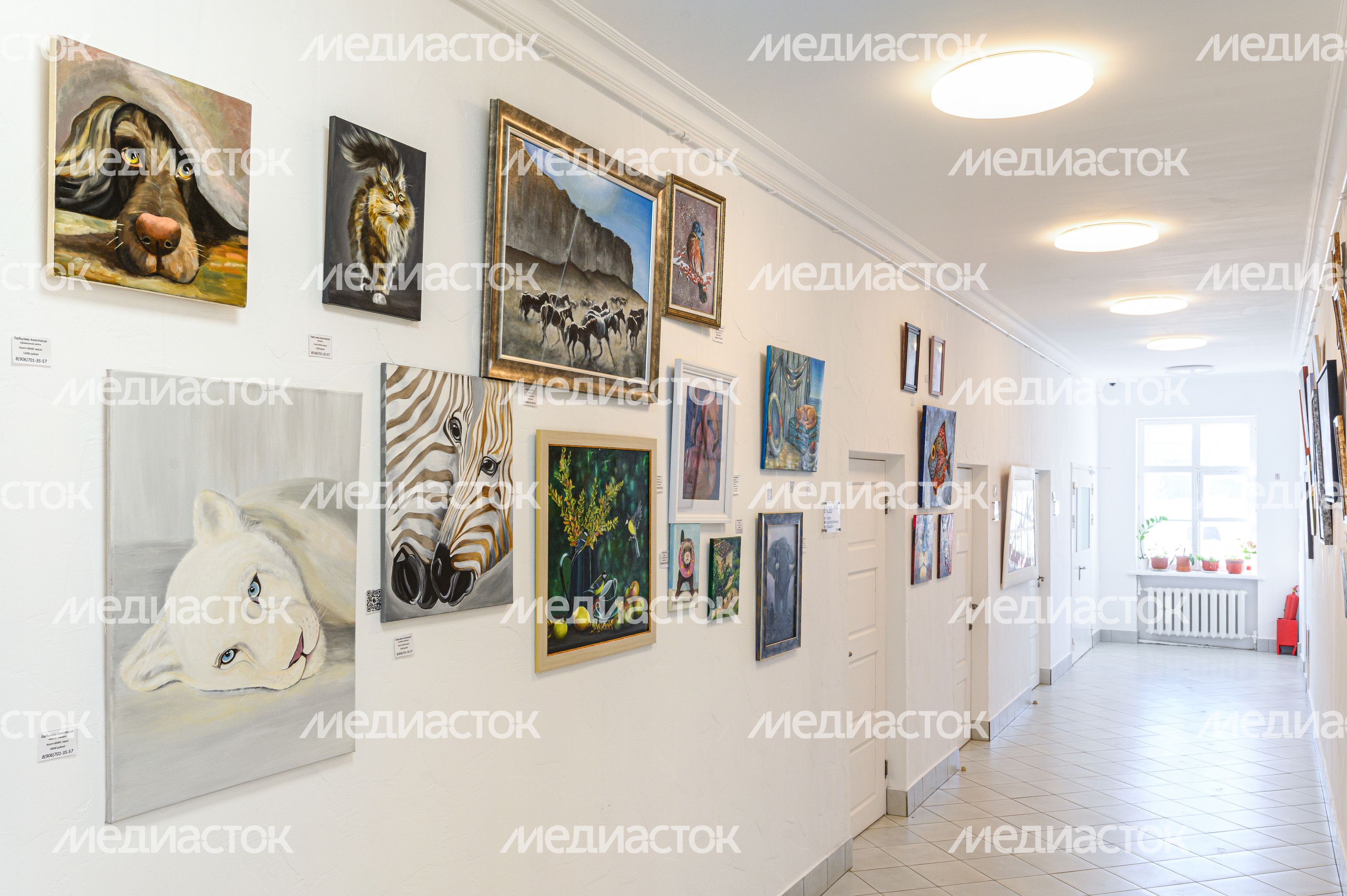 Арт-галерея "Летай" в Раменском