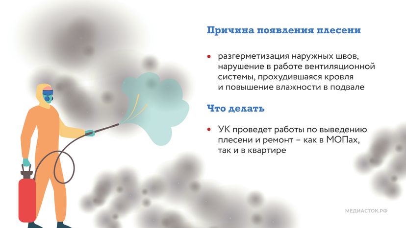 Плесень горизонталь 03