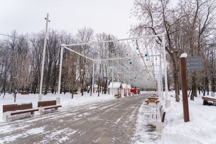 Истринский городской парк зимой