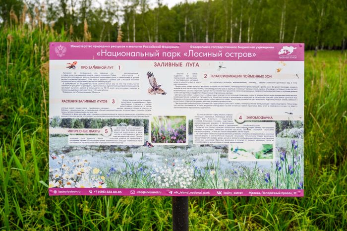 Экотропа «Заповедный лес» в Национальном парке «Лосиный остров» в Мытищах