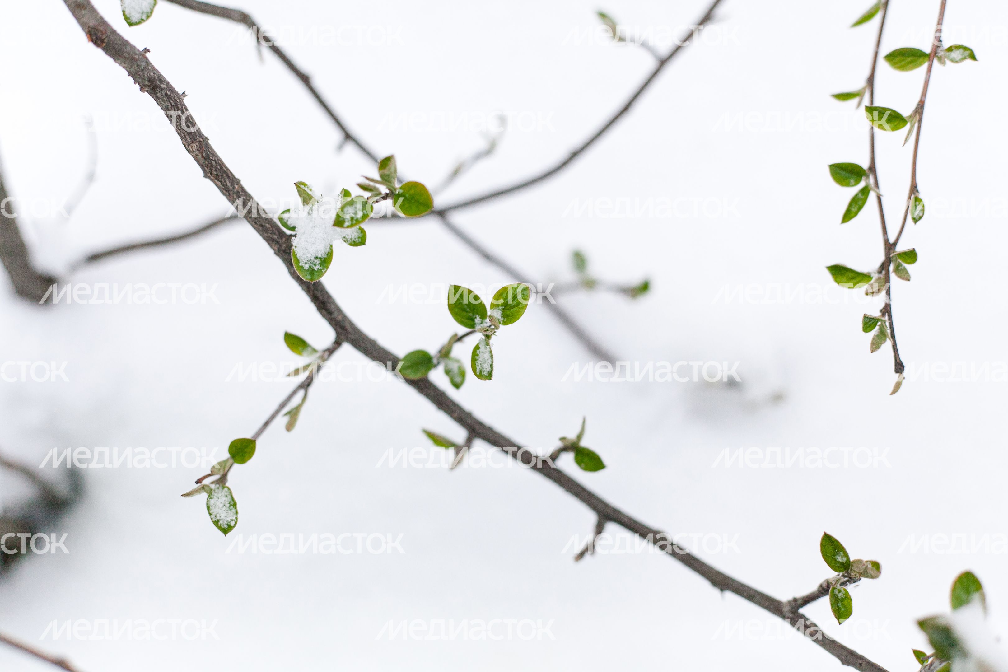 Весна в городе Дзержинский Весна в городе Дзержинский