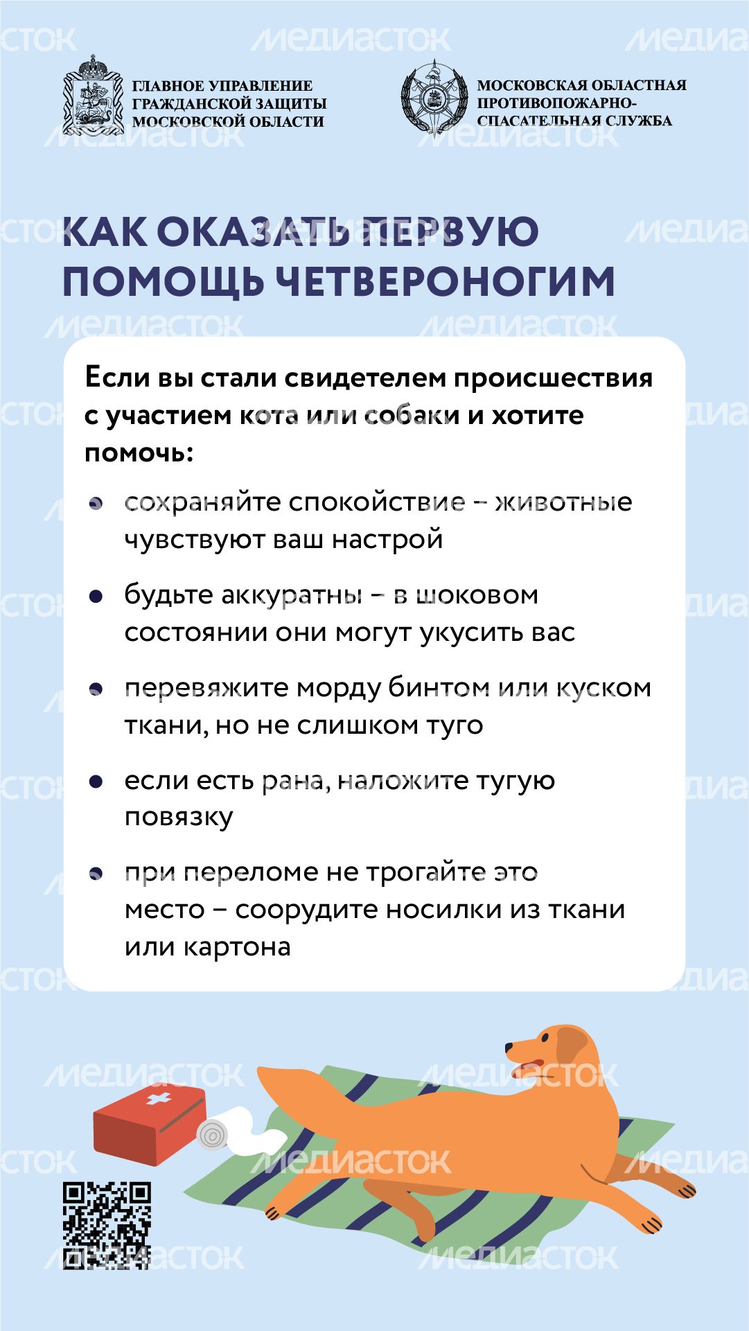 помощь усатым - вертикаль - 07