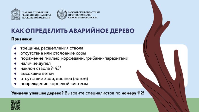 Аварийные деревья_Горизонталь-03.jpg