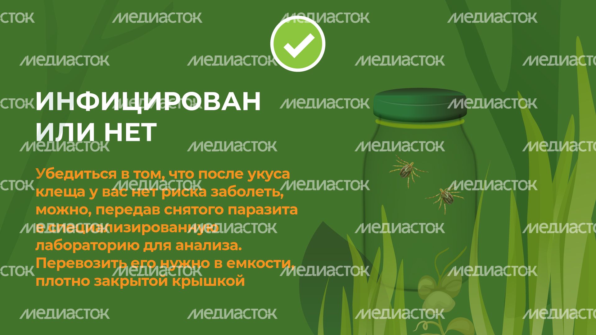 комлесхоз_клещи_гор_9