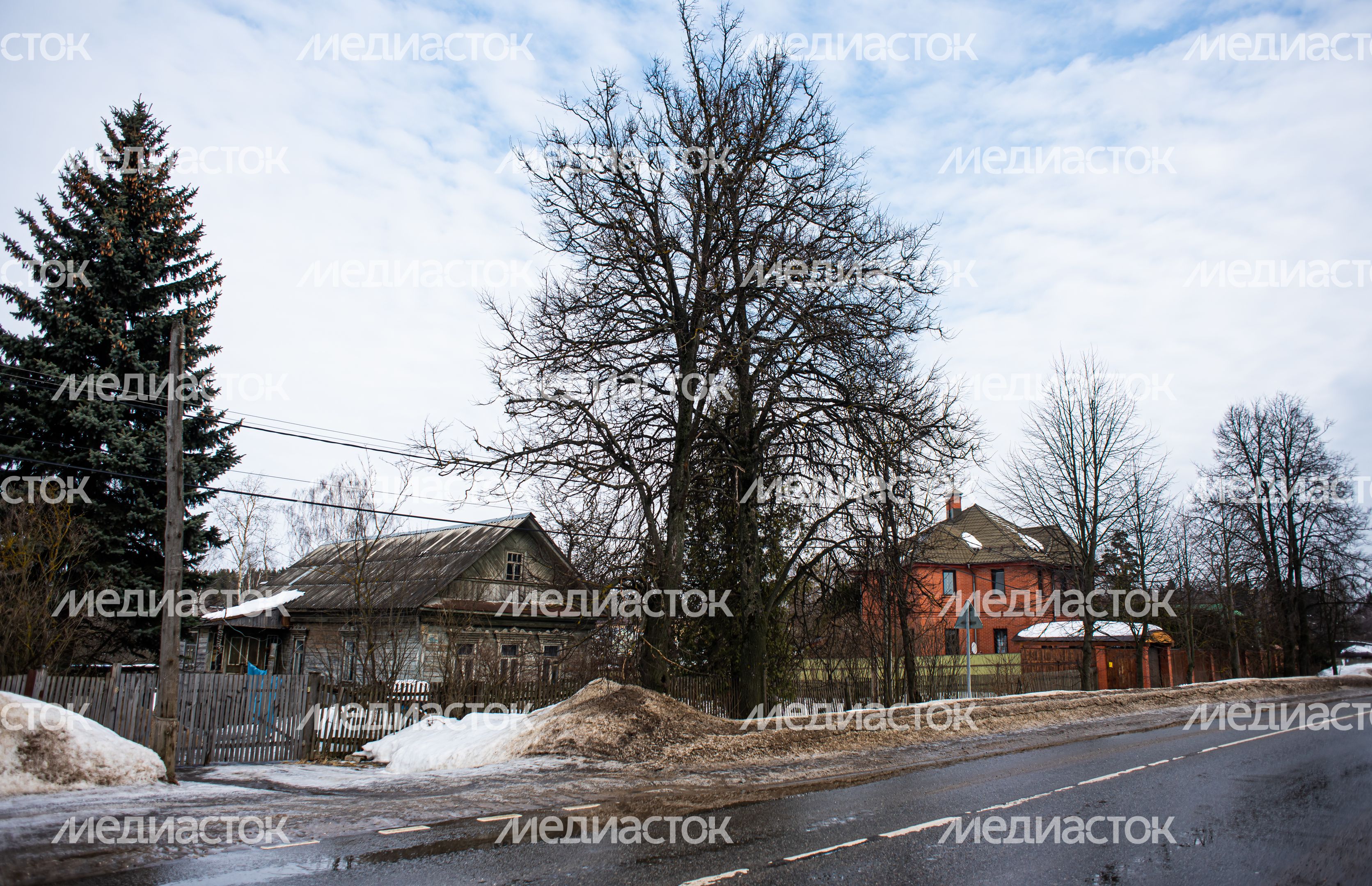 Зимние виды деревни Гребнево