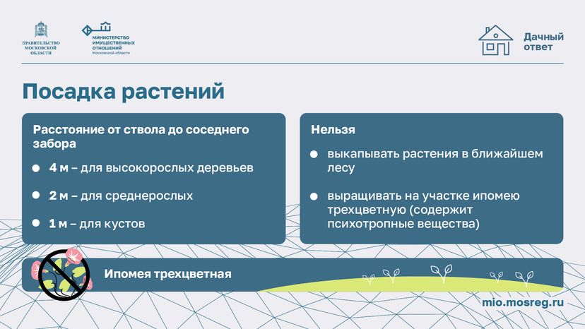 Дачный сезон штрафы-горизонталь-06