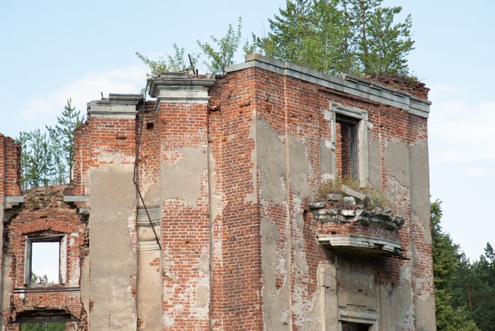 Усадьба Мещерских Алабино (Петровское)