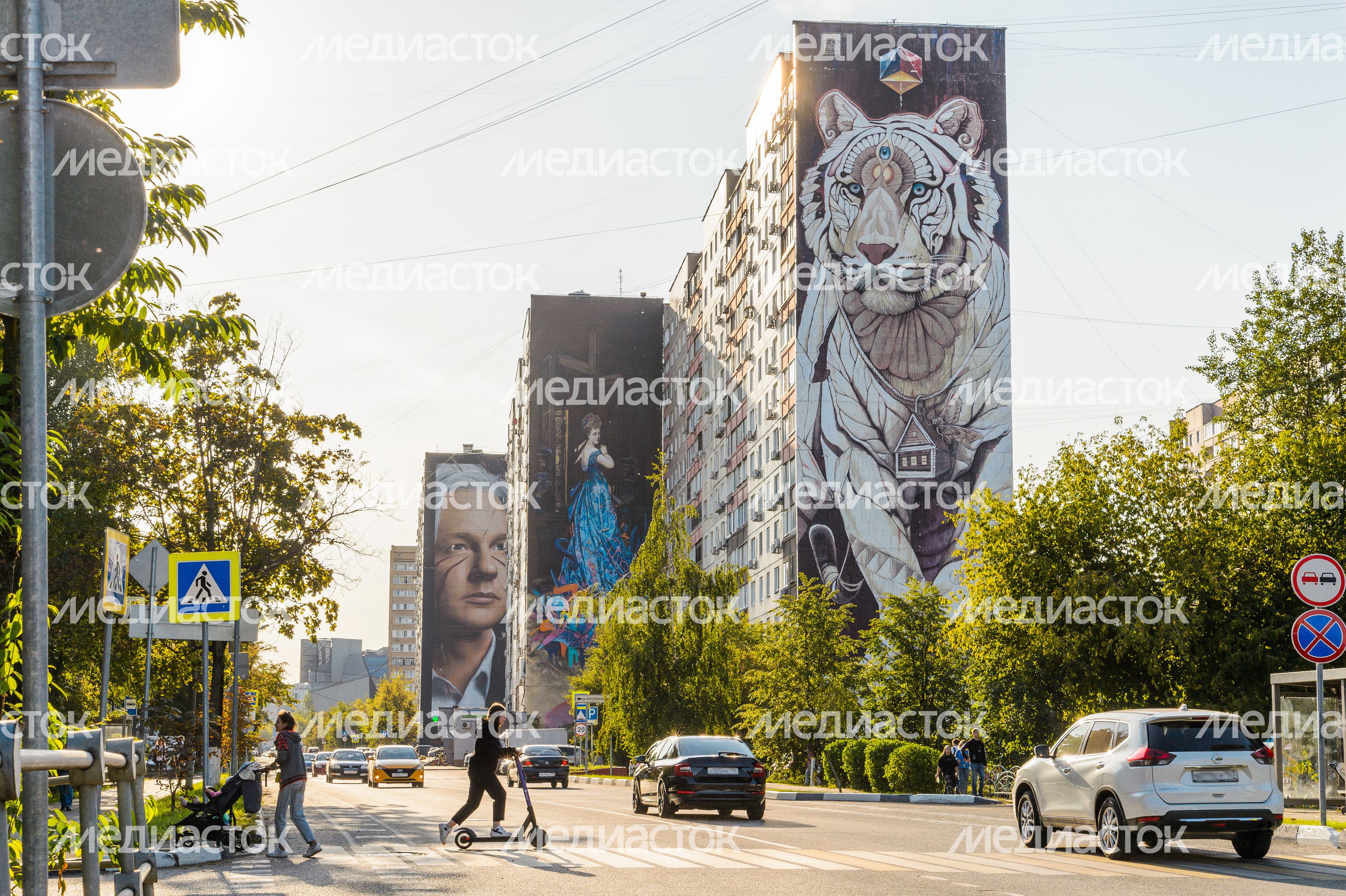 Балашиха. Муралы на стенах домов Балашиха. Муралы на стенах домов