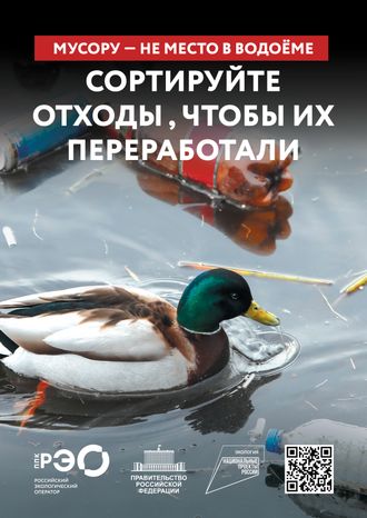 Seria 9 animal poster _A2_2