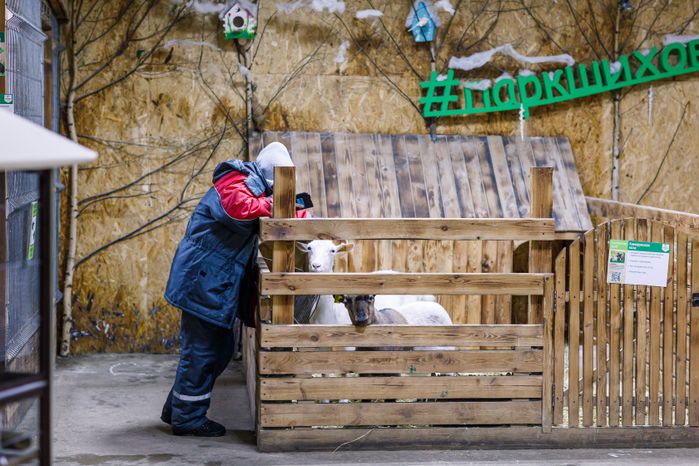 Зооферма "Шихово" в Дмитровском округе зимой