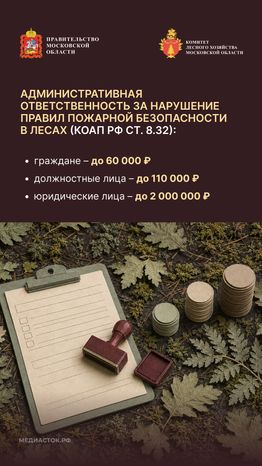 Живете рядом с лесом вертикаль 05