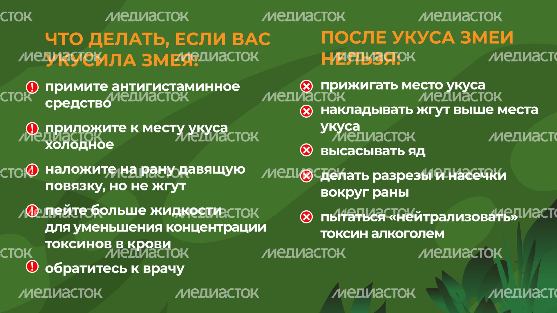 уппр_змеи_гор_7