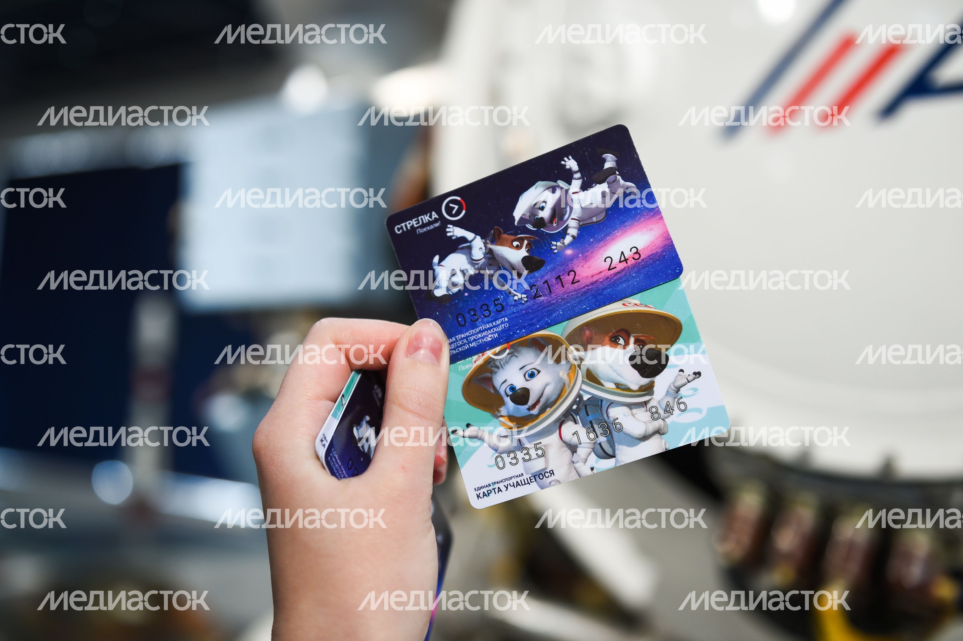 Презентация транспортных карт с героями мультфильма «Белка и Стрелка»