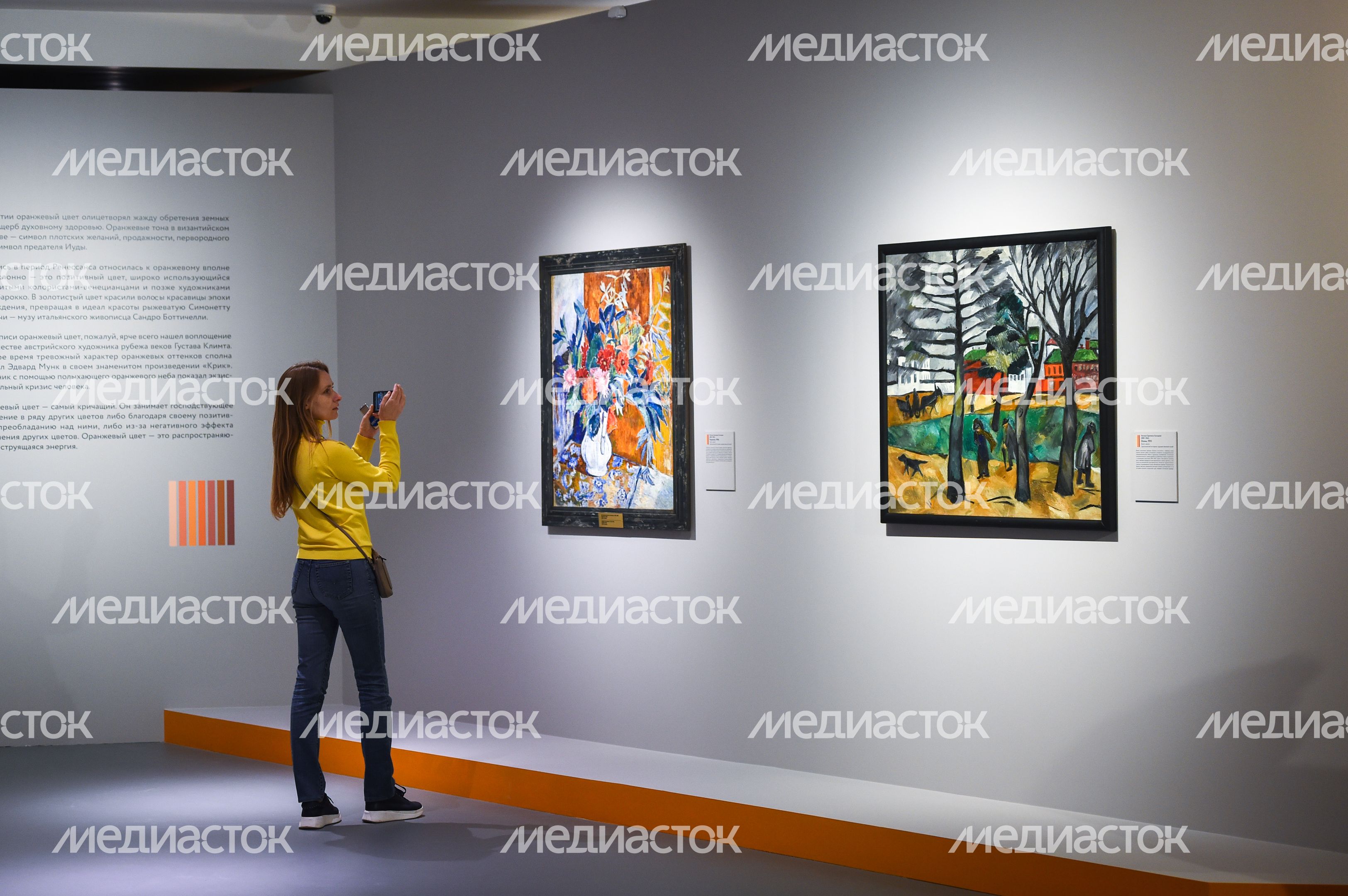 Открытие выставки «Цвет. 90 шедевров из музеев Подмосковья» в Истре