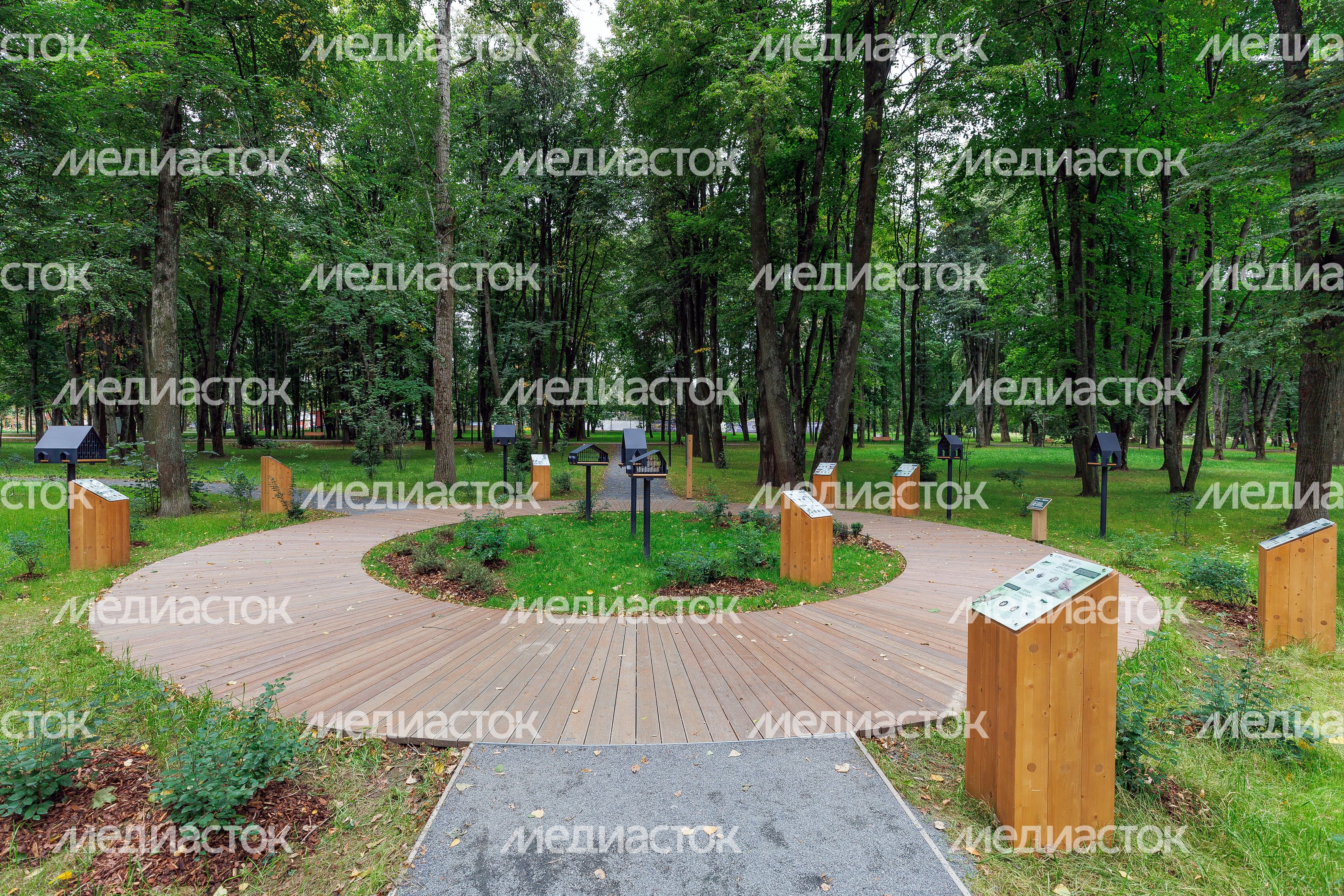 Щелковский центральный городской парк после благоустройства Щелковский центральный городской парк после благоустройства