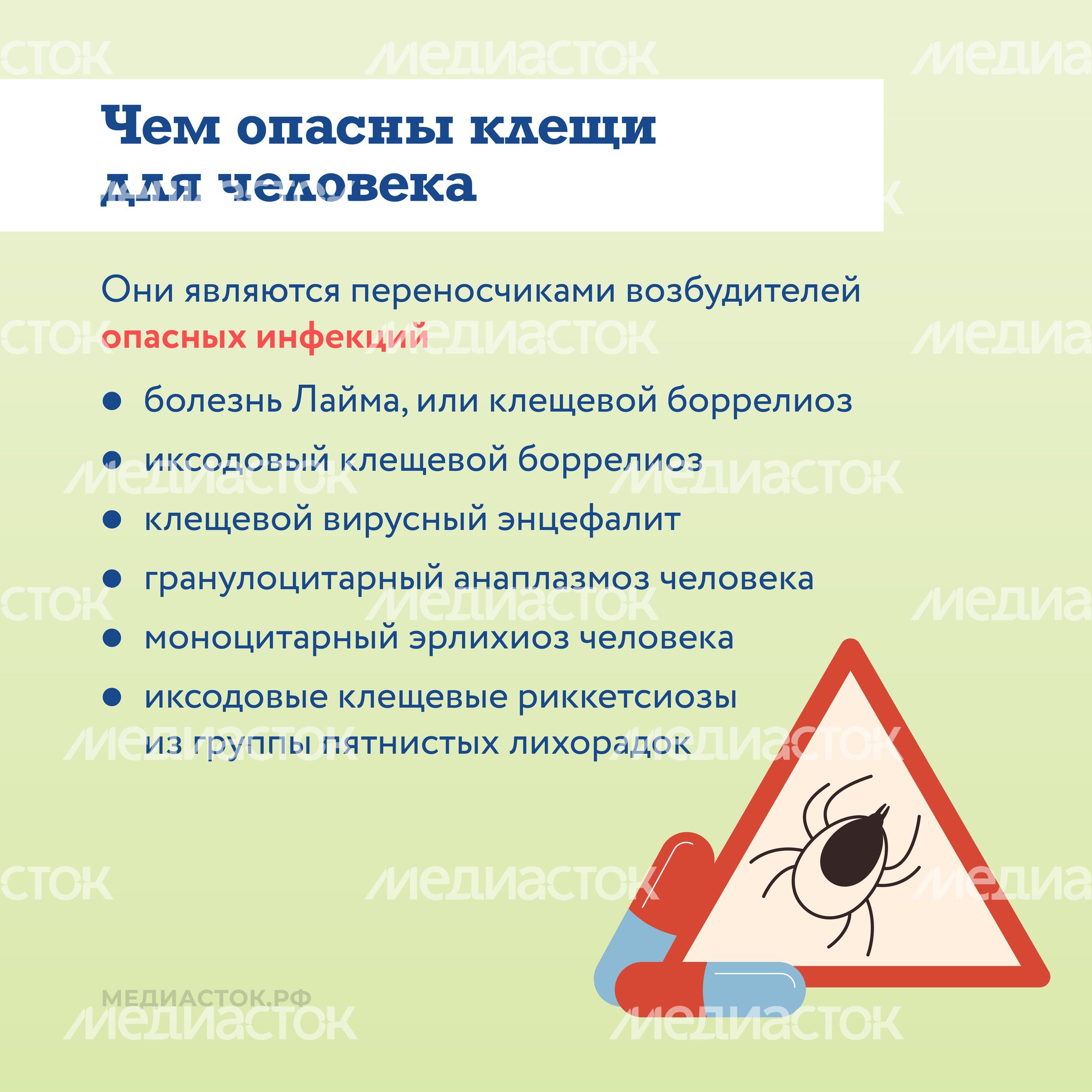 Как защититься от клещей квадрат 03 Как защититься от клещей квадрат 03