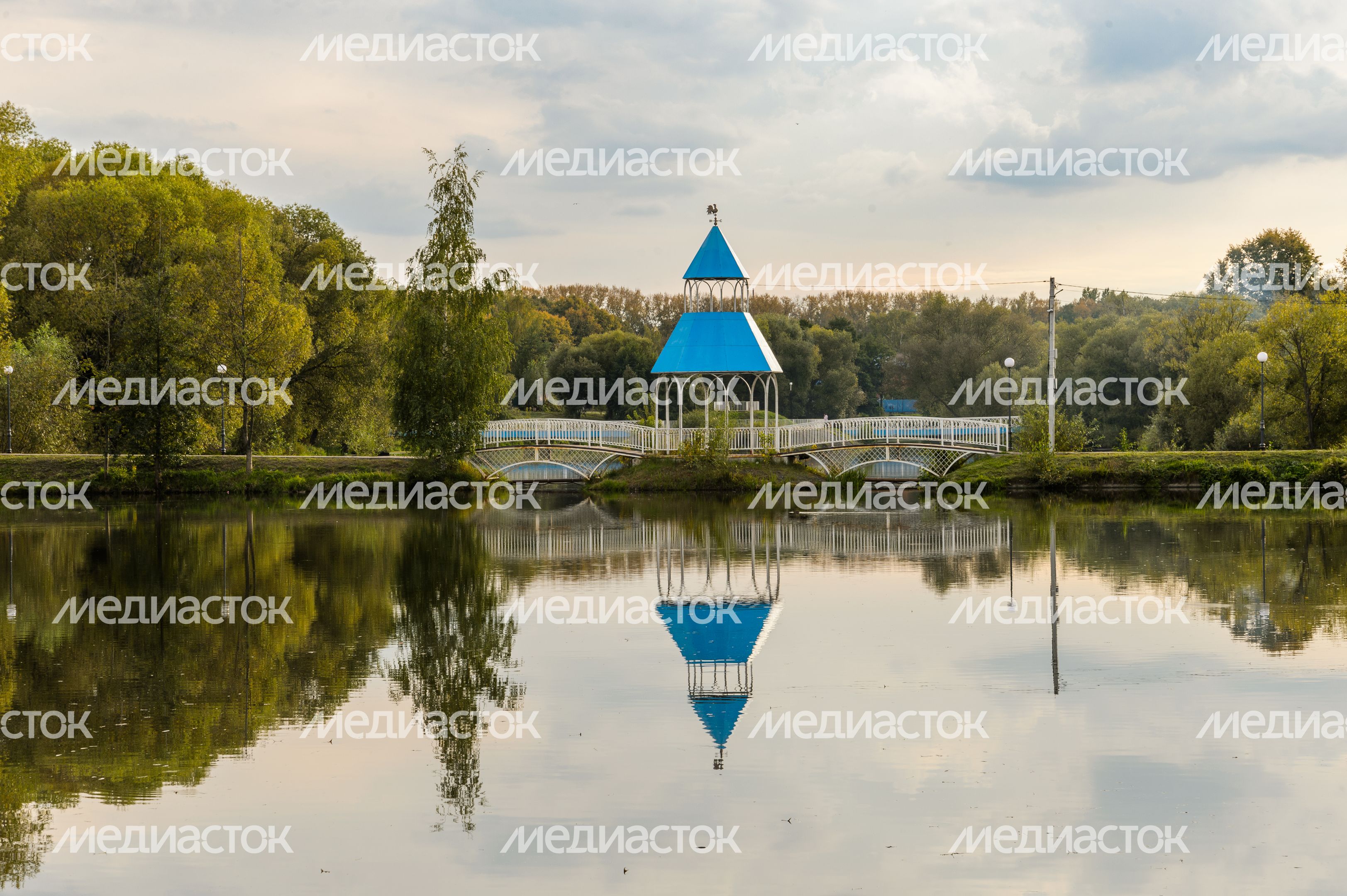 Бронницы. Кожурновский пруд Бронницы. Кожурновский пруд