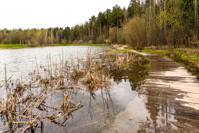 Мещерский парк в Одинцовском округе. Весна