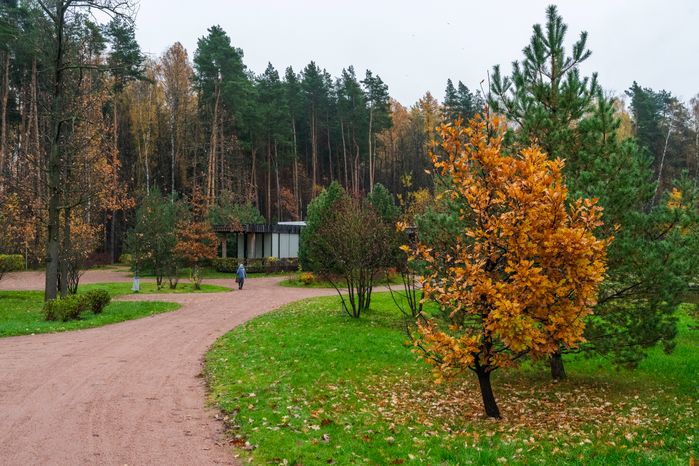 Мещерский парк осенью 2025