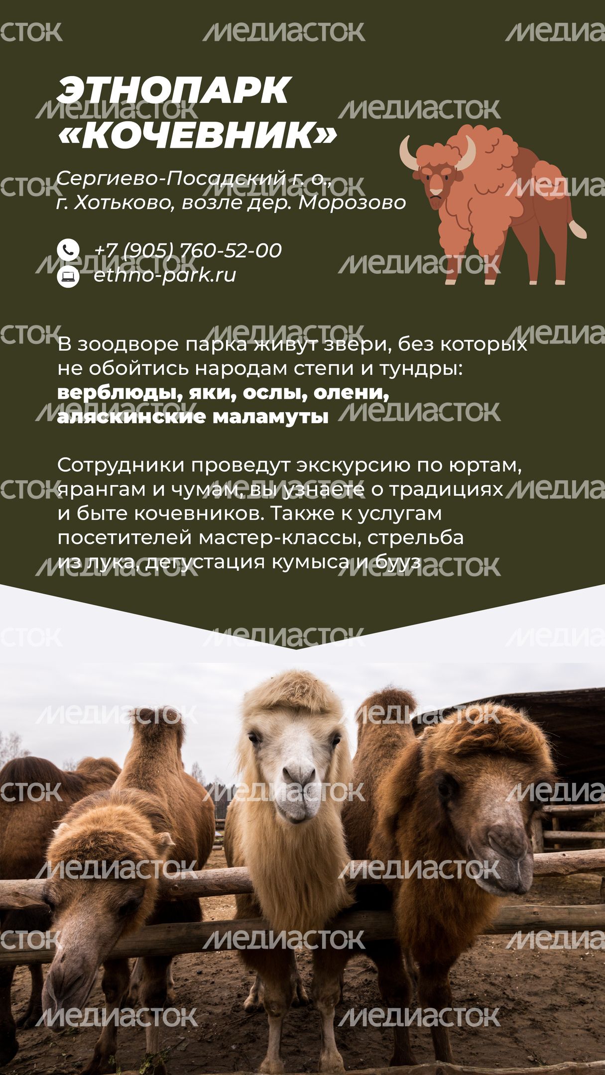 Фермы с животными-06.jpg