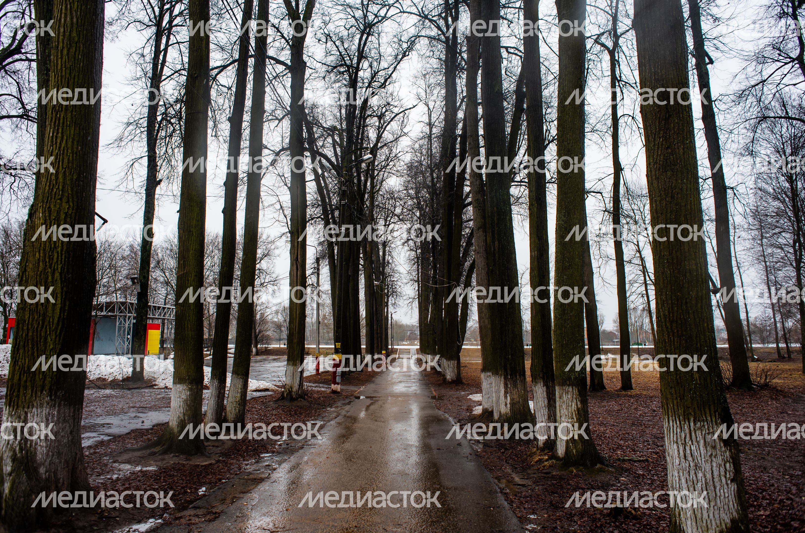 Весенние виды города Электроугли
