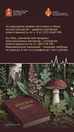 Ягоды, грибы, лекарственные растения вертикаль 10