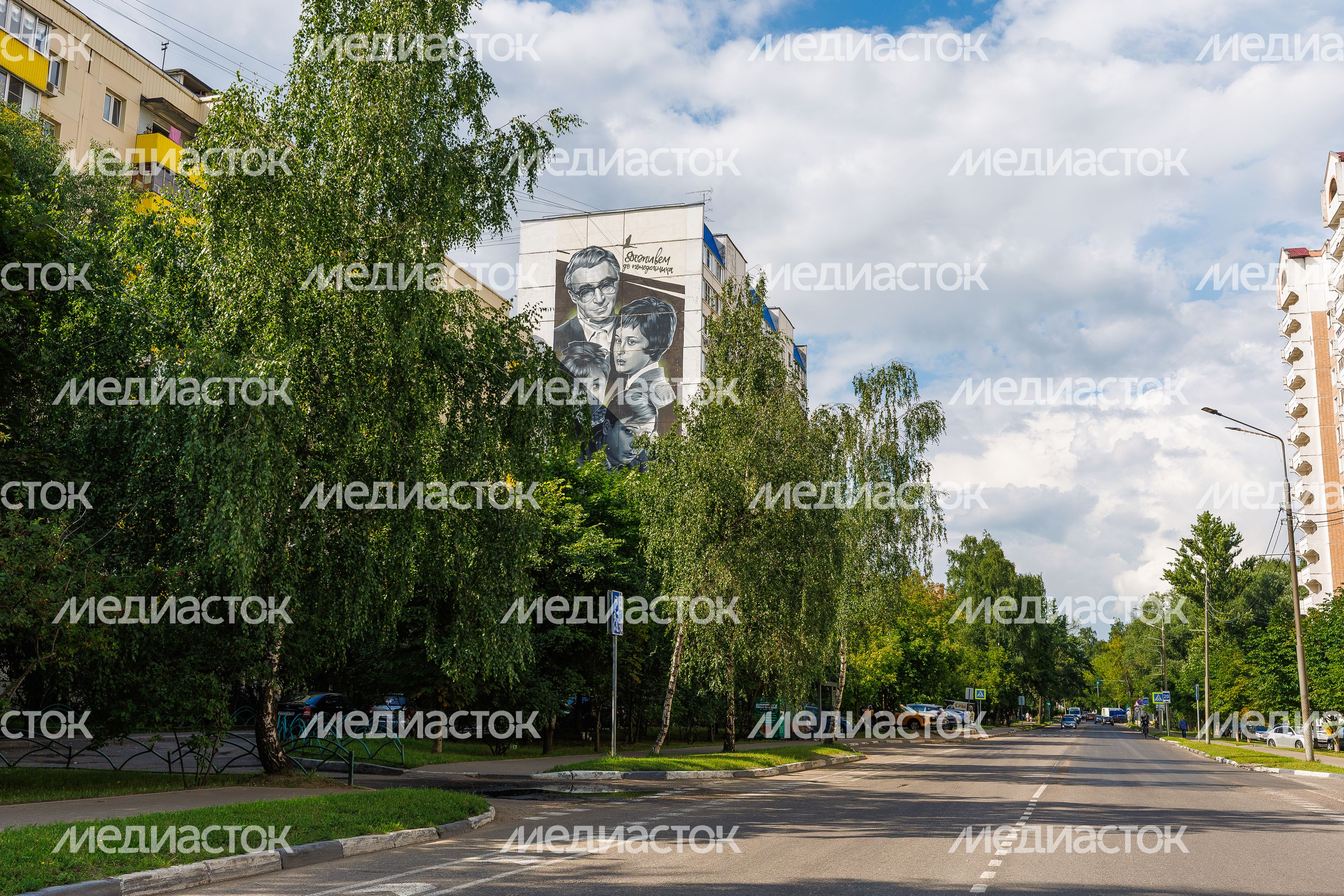 Муралы в Железнодорожном, Балашиха