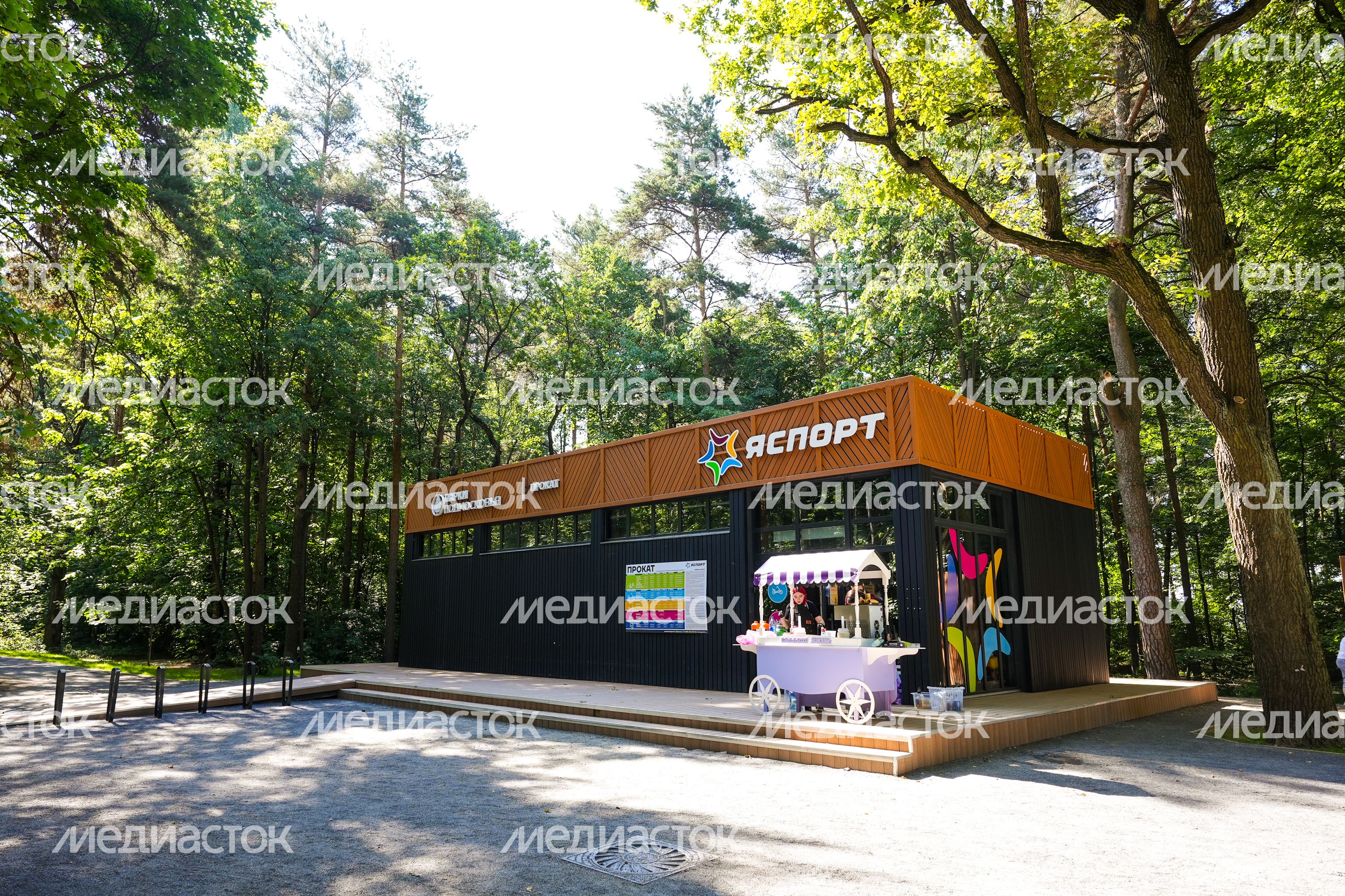 Лесопарк "Чемпион" в Дзержинском