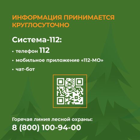 комлесхоз_костер_кв_8.jpg