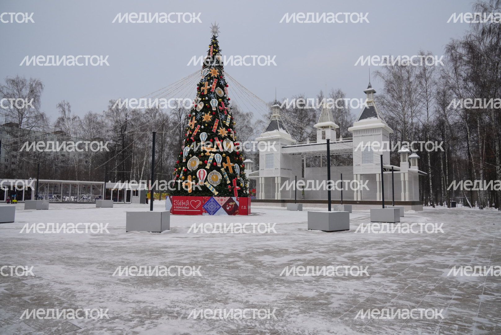 Проверка Губернатором Центрального парка культуры и отдыха в Пушкино