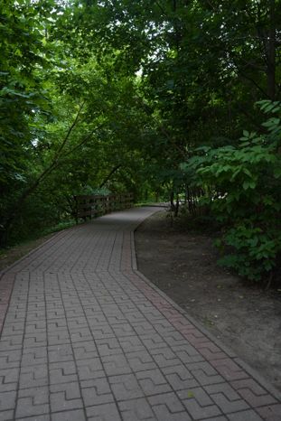 Тимоховский парк