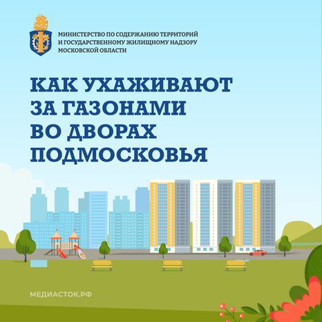 Как ухаживают за газонами квадрат 01