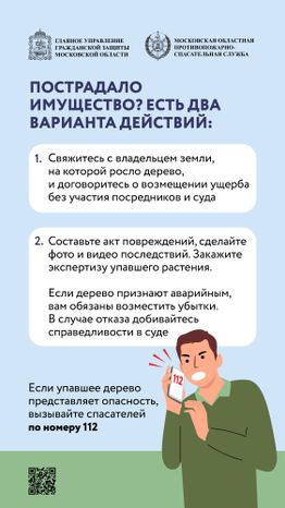 Аварийные деревья_Вертикаль-08.jpg
