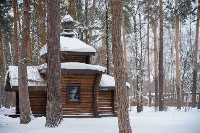 Богородский. Ногинск. Дом-музей семьи А.И. Морозова