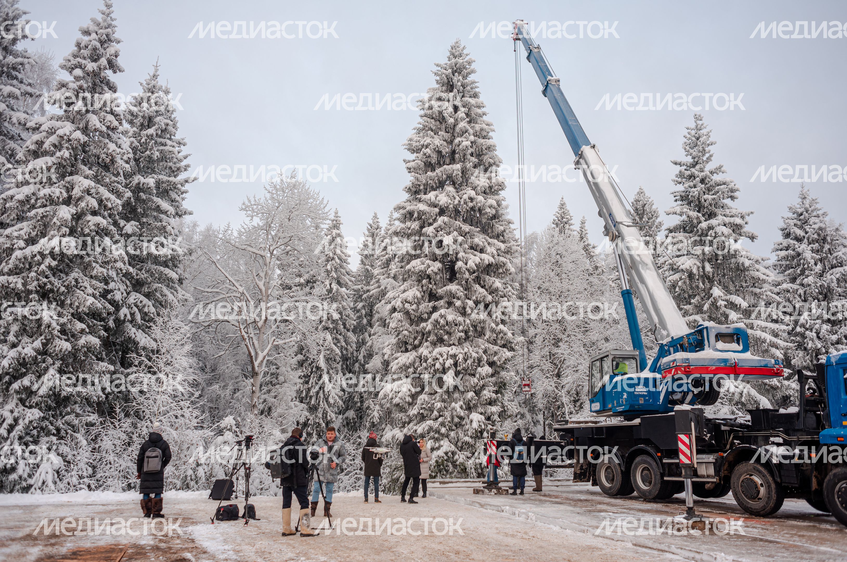 Рубка главной новогодней елки страны