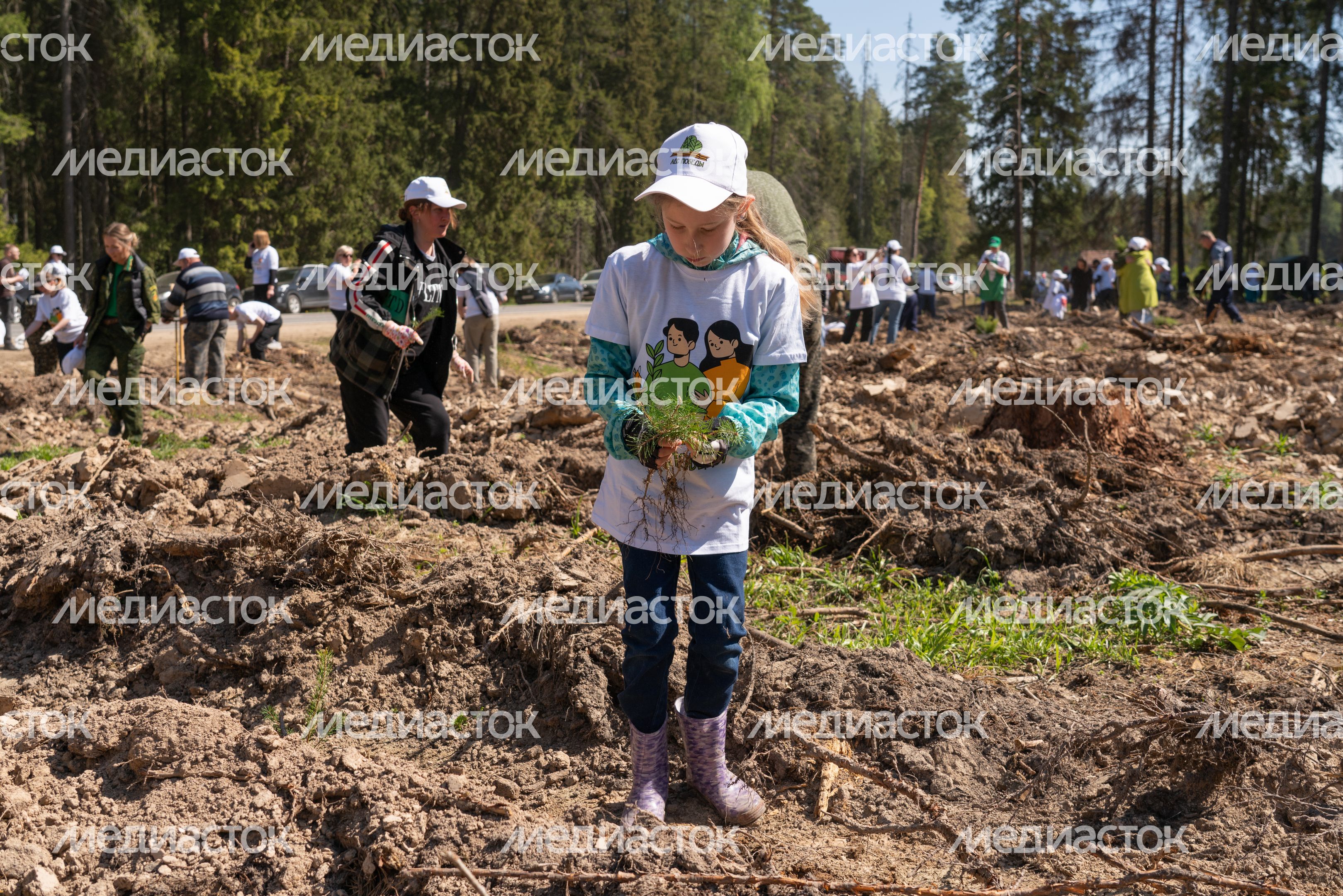 Лес Победы Лес Победы
