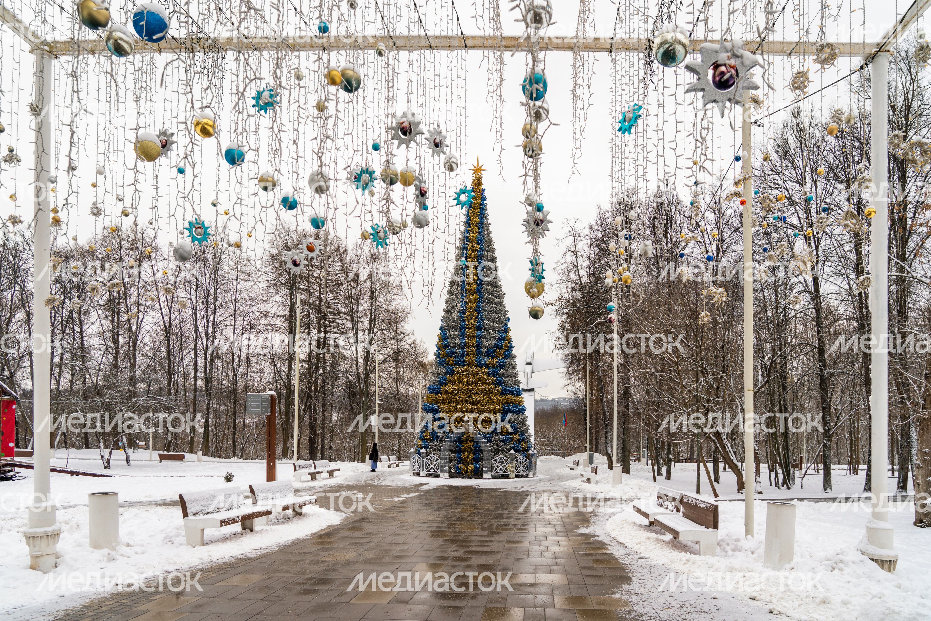 Городской парк в Истре Городской парк в Истре